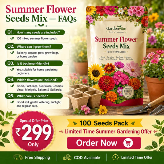 Premium Summer Flower Seeds Mix – 100 Seeds for Home Garden, Balcony & Terrace