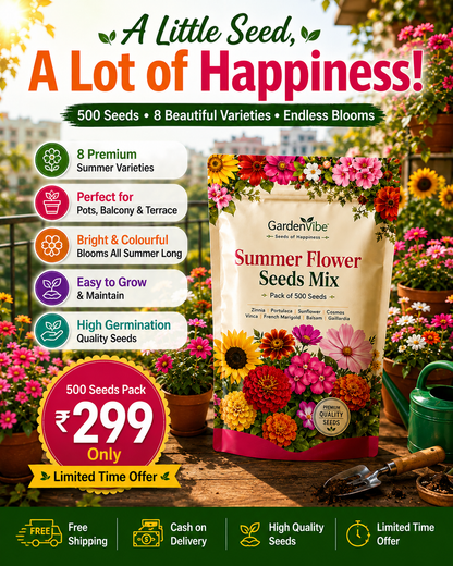 Premium Summer Flower Seeds Mix – 500 Seeds for Home Garden, Balcony & Terrace