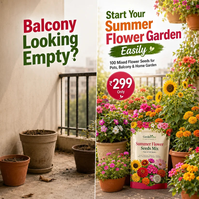 Premium Summer Flower Seeds Mix – 100 Seeds for Home Garden, Balcony & Terrace
