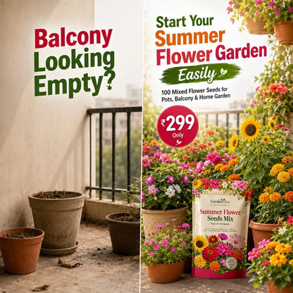 Premium Summer Flower Seeds Mix – 100 Seeds for Home Garden, Balcony & Terrace