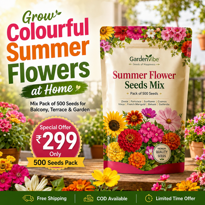 Premium Summer Flower Seeds Mix – 500 Seeds for Home Garden, Balcony & Terrace
