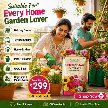 Premium Summer Flower Seeds Mix – 500 Seeds for Home Garden, Balcony & Terrace