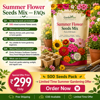 Premium Summer Flower Seeds Mix – 500 Seeds for Home Garden, Balcony & Terrace