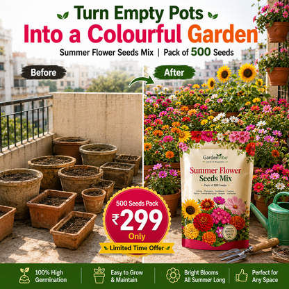 Premium Summer Flower Seeds Mix – 500 Seeds for Home Garden, Balcony & Terrace